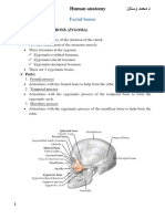 05 Human Anatomy First Year