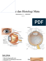 Anatomi Histologi Mata