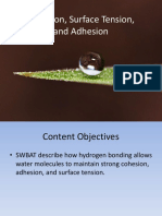 8.3 Cohesion SurfaceTension Adhesion