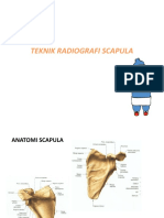 Teknik Radiografi Scapula