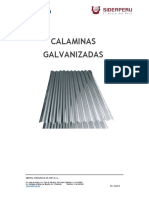 FT CALAMINA GALVANIZADA SP vs280319