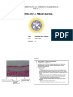 Tumor Jinak Mesenkimal