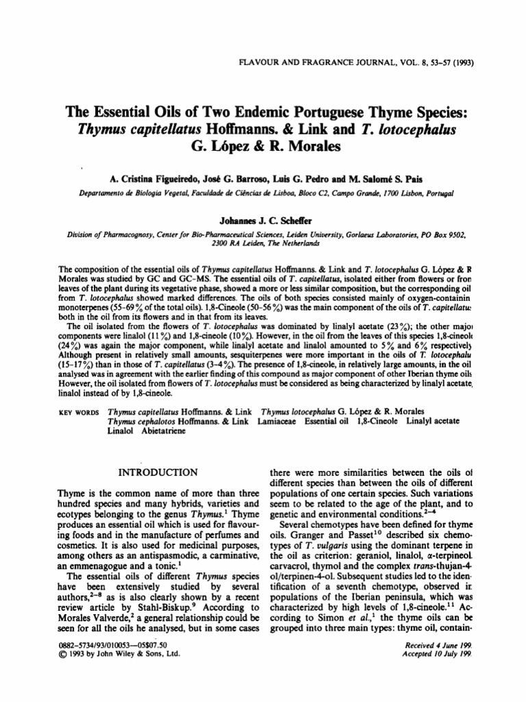 The Essential Oils Two Endemic Portuguese Thyme Species Hoffmanns