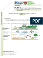 Glosario - Evidencia - Nee 10° 4P Revisado