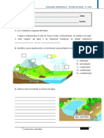 Estudo Do Meio (4º Ano) - 2º Período