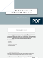 Prak Modul 9 Pengamatan Morfologi Protista