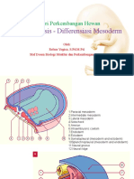 Organogenesis - Mesoderm Intermediet