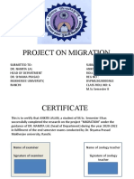 Project On Migration
