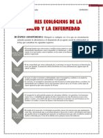 MAPA FACTORES ECOLÓGICOS DE SALUD Y ENFERMEDAD Completo