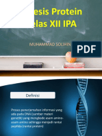 Sintesis Protein Kelas XII MIPA