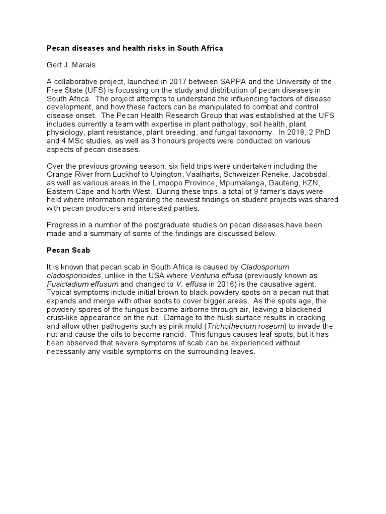 Pecan Diseases and Health Risks in South Africa Part 1 PDF Fungus