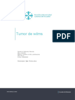 Tumor de Wilms