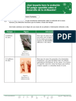 7evolución Del Pulgar Oponible