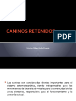 Caninos Retenidos