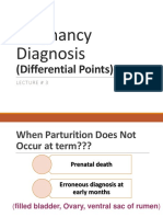 Pregnancy Diagnosis (Differential Points)