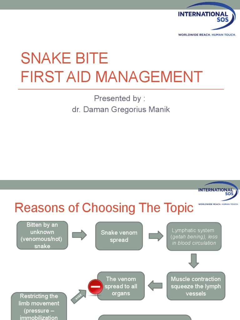 Snake Bite First Aid Management Presented By Dr. Daman Gregorius Manik PDF Medical