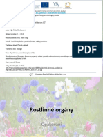 ICT5-13 Opakování - Vegetativní A Generativní Orgány Rostlin