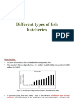 Different Types of Fish Hatcheries