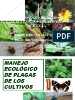 1.1. Manejo Ecologico de Plagas