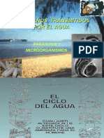 Microorganismos Transmitidos Por El Agua