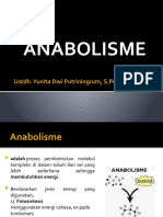 PPT Anabolisme (2) (1)