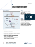 Metabolic Vulnerabilities in SCCs