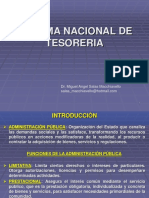 Sistema Nacional de Tesoreria