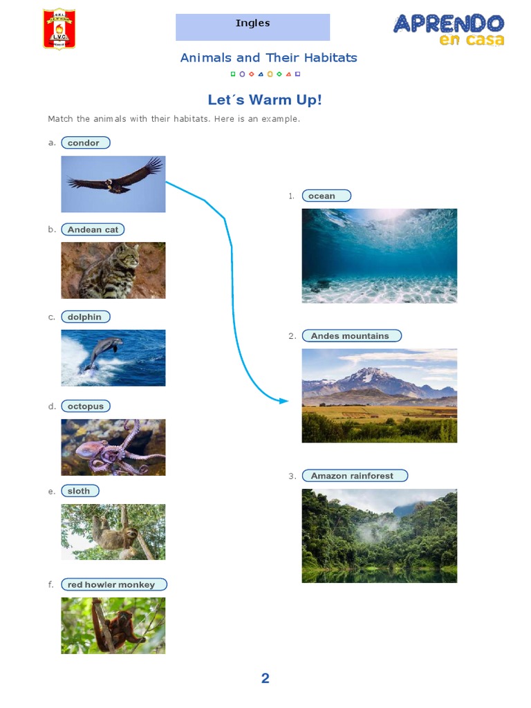 DIA5 INGLESAnimals and Their Habitats PDF Andes Zoology