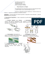 Reprodução e Ciclo de Vida Das Algas