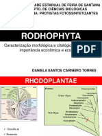 Aula Rhodophyta