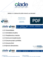 Cadena Del Carbón Mineral y Sus Derivados