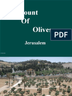 Jerusalem Mount of Olives C