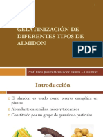 2.1 - Gelatinización de Almidón