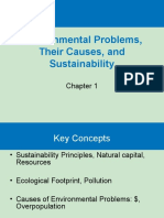 Environmental Problems, Their Causes, and Sustainability