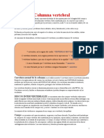 Columna Vertebral Generalidades