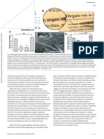 artigo 4 - mondrinos et al 2017-pages-7-13.en.pt