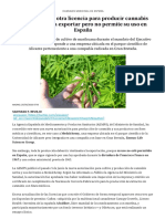 Cannabis medicinal en España_ El Gobierno da otra licencia para producir cannabis medicinal para exportar pero no permite su uso en España _ Público