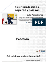 Alcances Jurisprudenciales Sobre Propiedad y Posesión PDF Gratis