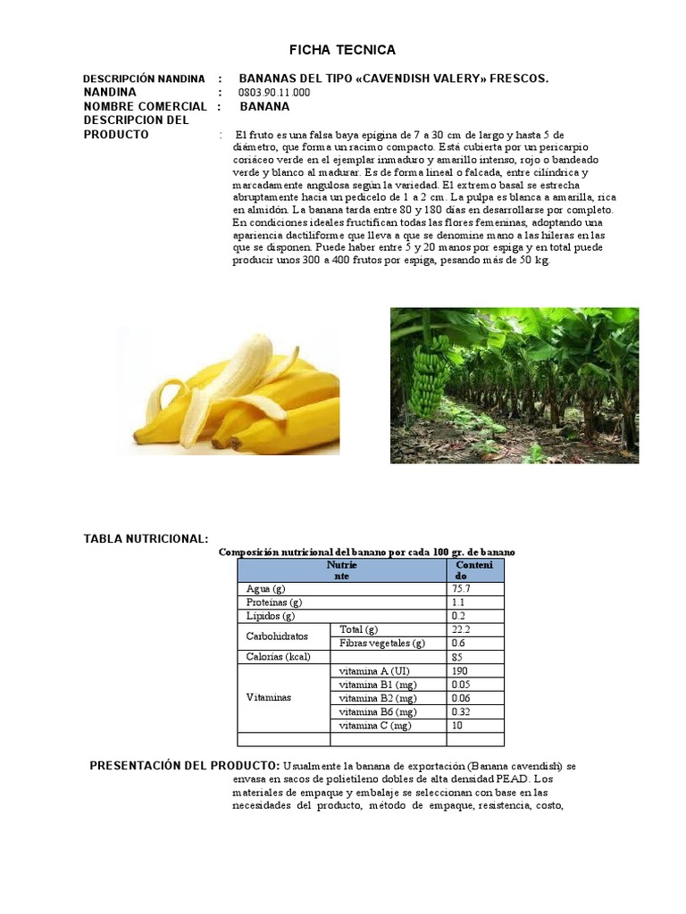Ficha Tecnica Banana PDF Plátano Comida y bebida