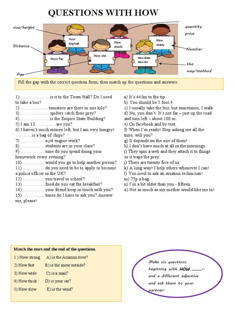 How+ Adjective | PDF | Spider | Arachnids