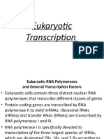 Eukaryotic Transcription