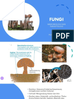 FUNGI ALL