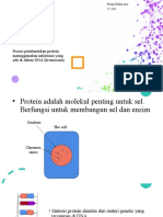 Sintesis Protein