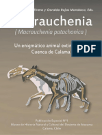 Publicación Macrauchenia