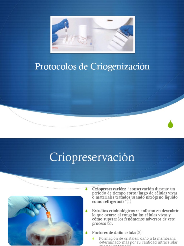 Protocolos de Criopreservación: Una Guía Completa para la ...