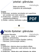 Epitelial Glandular Texto