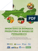 Celpe - Projeto Biogas_ebook