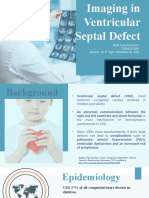 Imaging of Ventricular Septal Defect - Rizki Yuda Purnomo