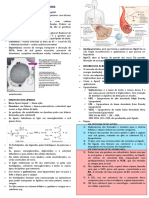 R - Metabolismo de Lipideos