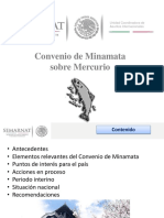Taller de Capacidades Analíticas - Convenio de Minamata 8feb17 María Rojas